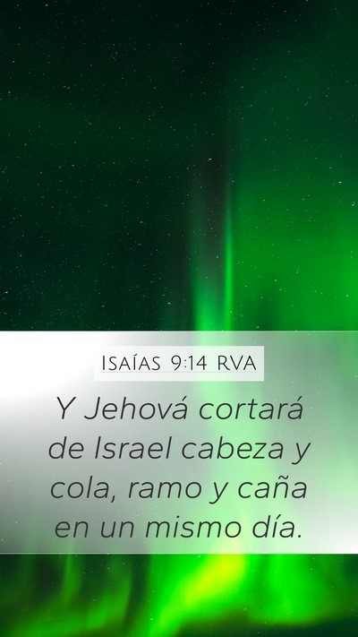 Isaías 9:14 RVA Bible Verse Image