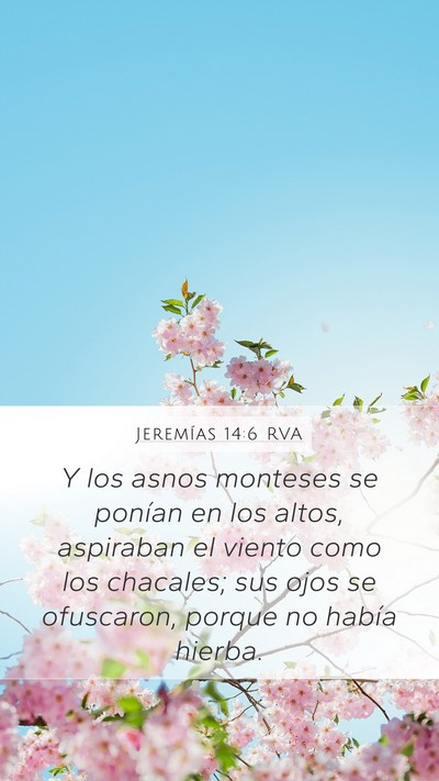 Jeremías 14:6 RVA Bible Verse Image