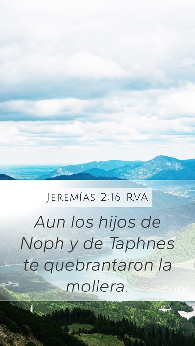 Jeremías 2:16 RVA Bible Verse Image