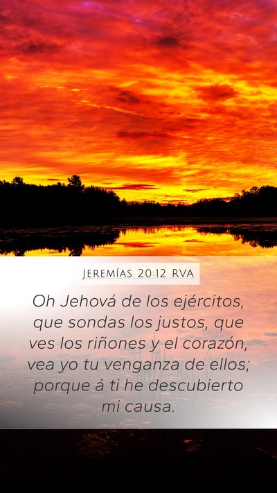 Jeremías 20:12 RVA Bible Verse Image