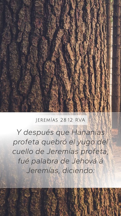 Jeremías 28:12 RVA Mobile Phone Wallpaper - Y después que Hananías profeta quebró el yugo - Mobile Bible Verse Wallpaper