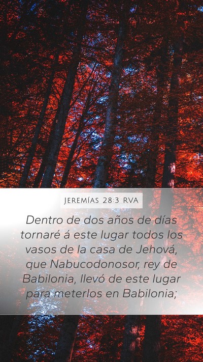 Jeremías 28:3 RVA Bible Verse Image