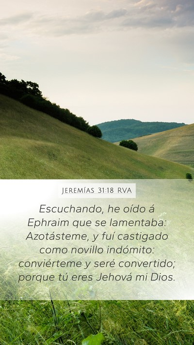 Jeremías 31:18 RVA Bible Verse Image