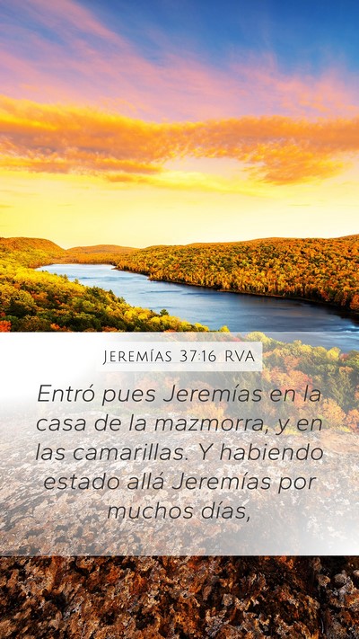 Jeremías 37:16 RVA Bible Verse Image