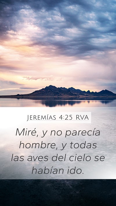 Jeremías 4:25 RVA Bible Verse Image