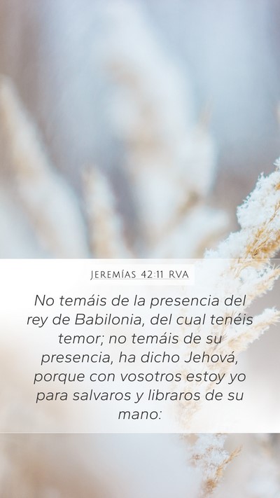 Jeremías 42:11 RVA Bible Verse Image
