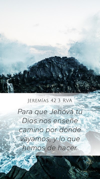 Jeremías 42:3 RVA Bible Verse Image