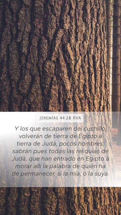 Jeremías 44:28 RVA Bible Verse Image