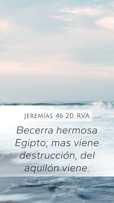 Jeremías 46:20 RVA Bible Verse Image