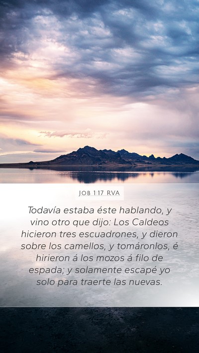 Job 1:17 RVA Bible Verse Image