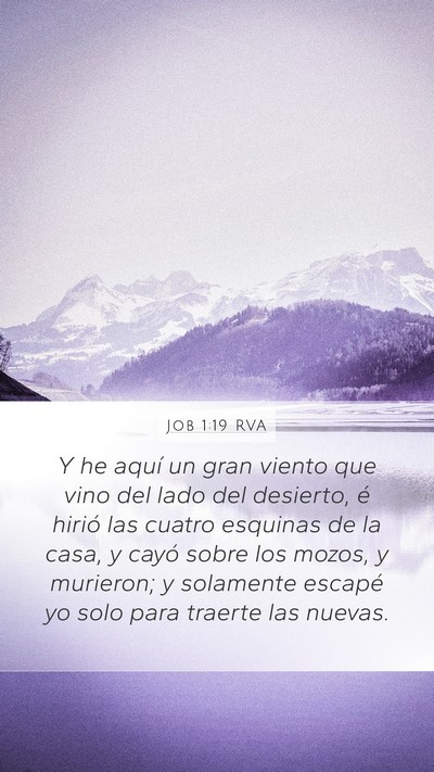 Job 1:19 RVA Bible Verse Image