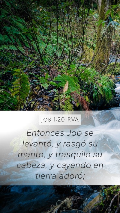 Job 1:20 RVA Bible Verse Image