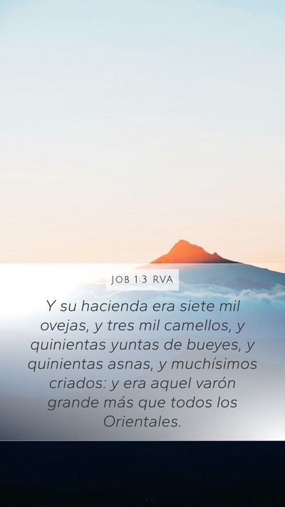 Job 1:3 RVA Bible Verse Image