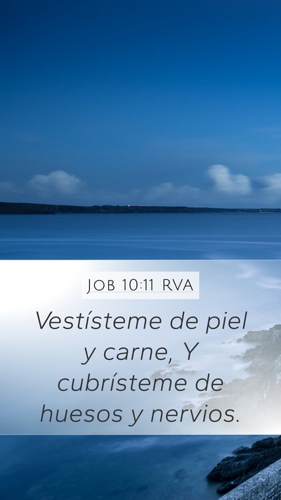 Job 10:11 RVA Mobile Phone Wallpaper - Vestísteme de piel y carne, Y cubrísteme de - Mobile Bible Verse Wallpaper