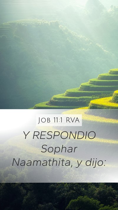 Job 11:1 RVA Mobile Phone Wallpaper - Y RESPONDIO Sophar Naamathita, y - Mobile Bible Verse Wallpaper