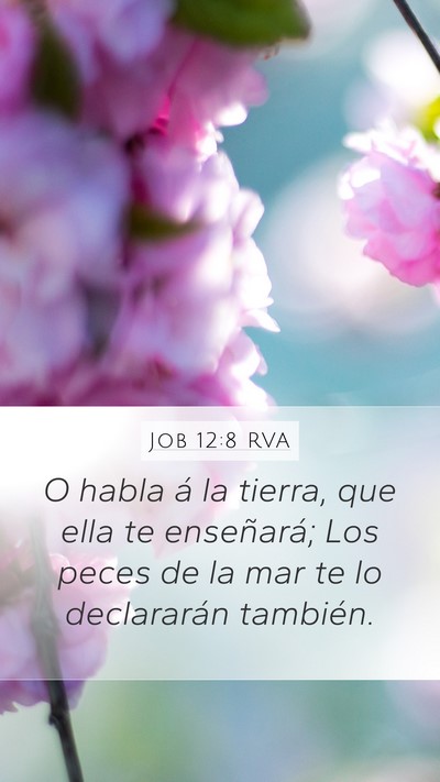 Job 12:8 RVA Bible Verse Image