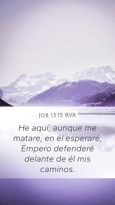 Job 13:15 RVA Bible Verse Image