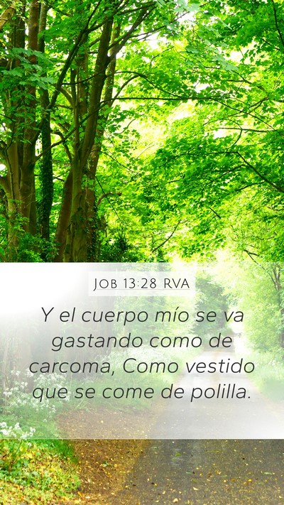 Job 13:28 RVA Bible Verse Image