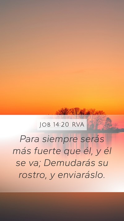 Job 14:20 RVA Bible Verse Image