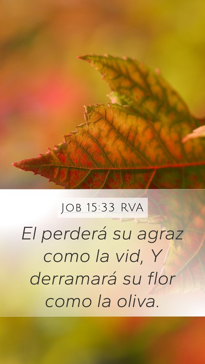 Job 15:33 RVA Mobile Phone Wallpaper - El perderá su agraz como la vid, Y derramará su - Mobile Bible Verse Wallpaper
