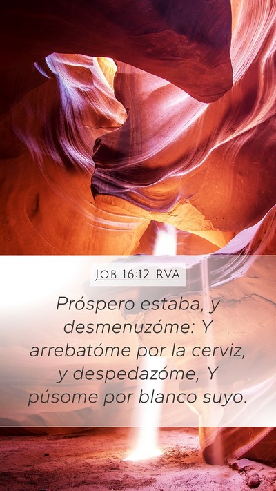 Job 16:12 RVA Bible Verse Image