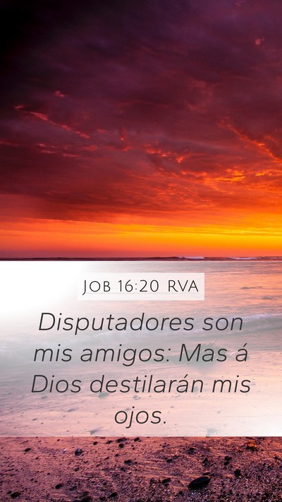 Job 16:20 RVA Bible Verse Image