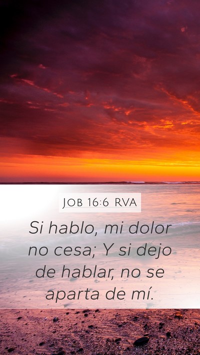 Job 16:6 RVA Bible Verse Image