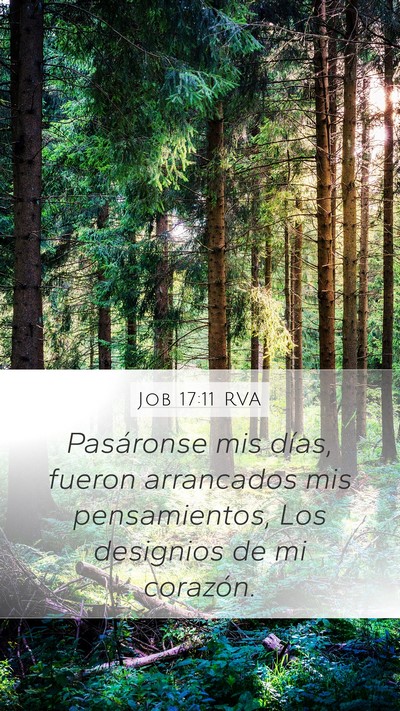 Job 17:11 RVA Bible Verse Image