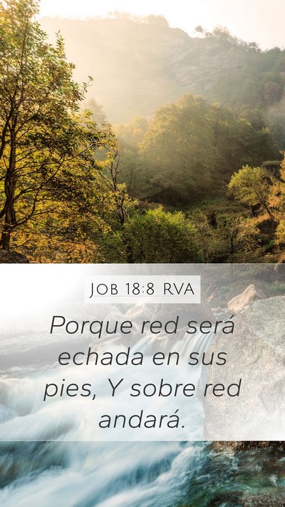 Job 18:8 RVA Bible Verse Image