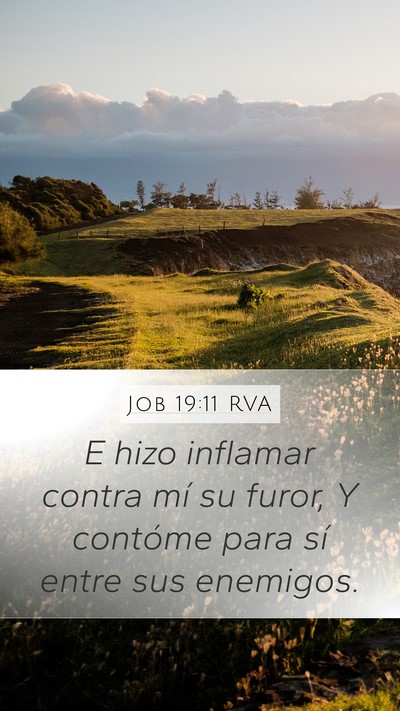 Job 19:11 RVA Bible Verse Image