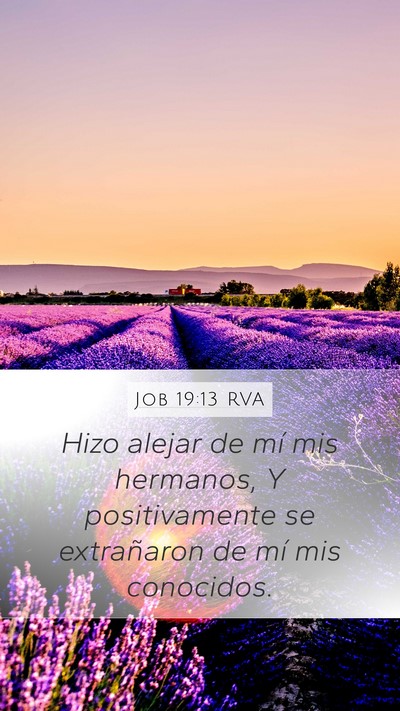 Job 19:13 RVA Bible Verse Image