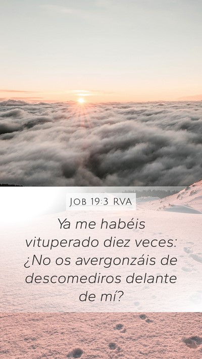 Job 19:3 RVA Bible Verse Image