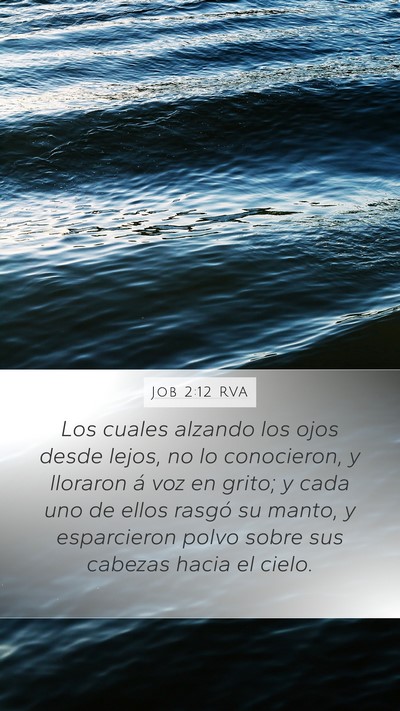 Job 2:12 RVA Bible Verse Image