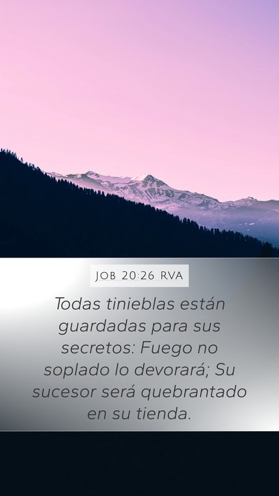 Job 20:26 RVA Bible Verse Image