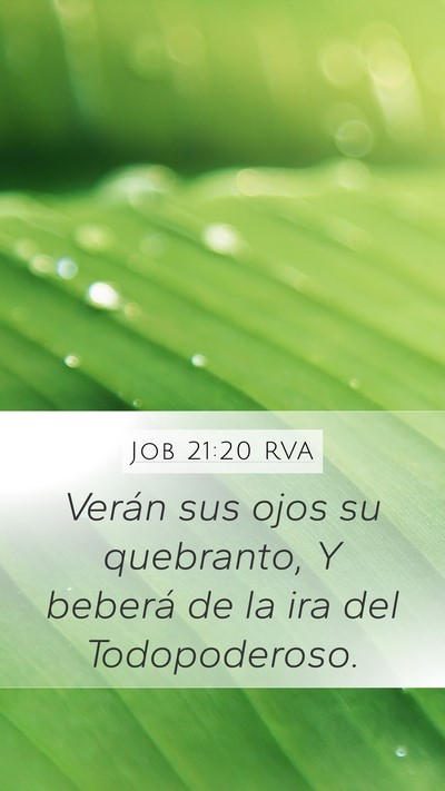 Job 21:20 RVA Bible Verse Image