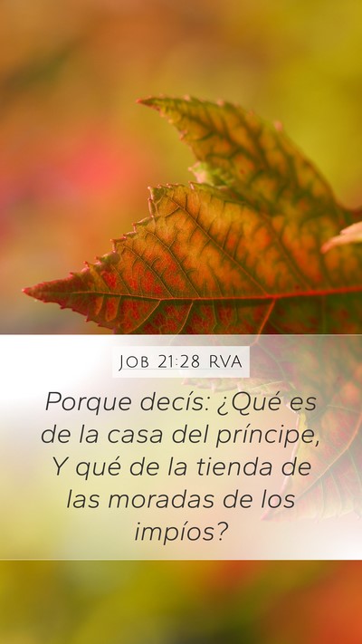 Job 21:28 RVA Bible Verse Image