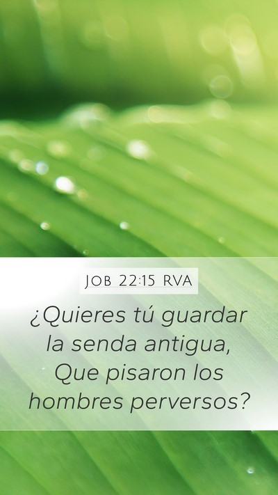 Job 22:15 RVA Bible Verse Image