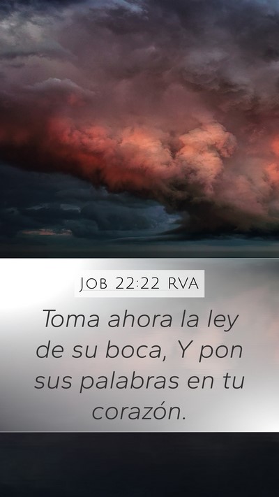 Job 22:22 RVA Bible Verse Image