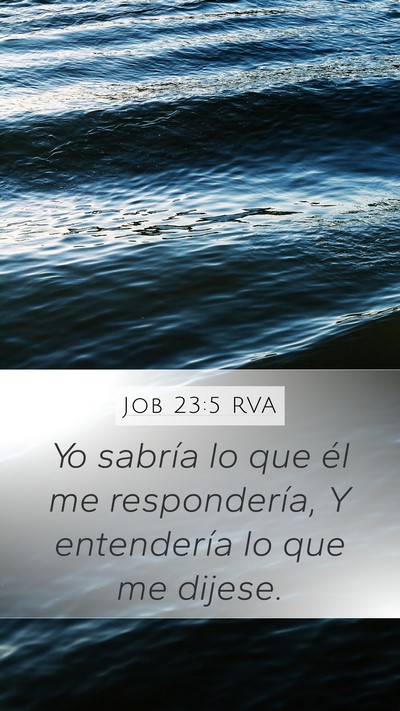 Job 23:5 RVA Bible Verse Image