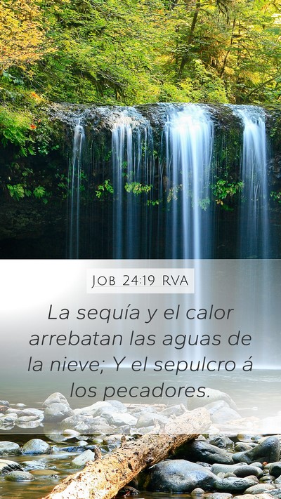 Job 24:19 RVA Bible Verse Image