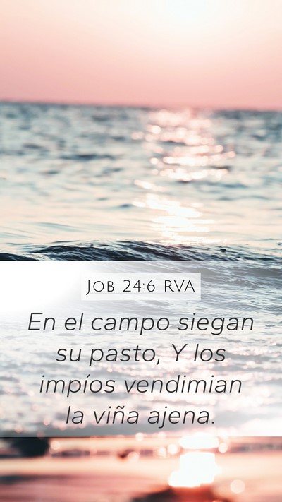 Job 24:6 RVA Mobile Phone Wallpaper - En el campo siegan su pasto, Y los impíos - Mobile Bible Verse Wallpaper