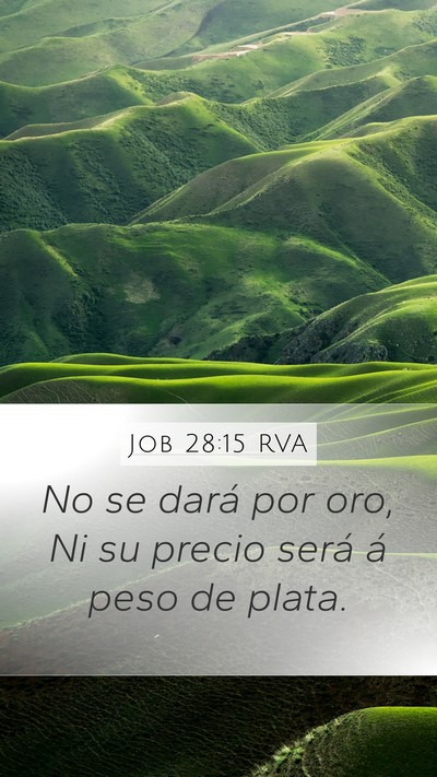 Job 28:15 RVA Bible Verse Image