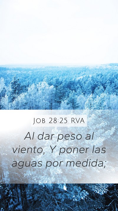 Job 28:25 RVA Bible Verse Image