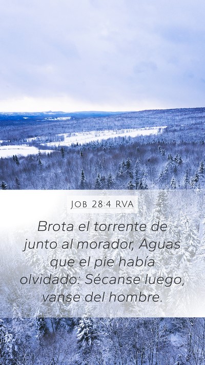 Job 28:4 RVA Mobile Phone Wallpaper - Brota el torrente de junto al morador, Aguas que - Mobile Bible Verse Wallpaper