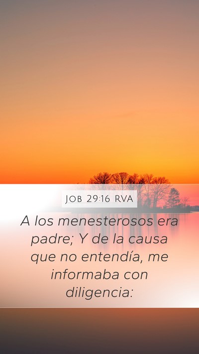 Job 29:16 RVA Bible Verse Image