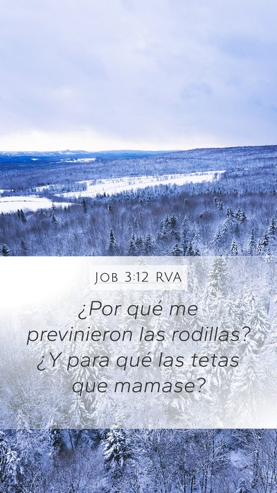 Job 3:12 RVA Mobile Phone Wallpaper - ¿Por qué me previnieron las rodillas? ¿Y para - Mobile Bible Verse Wallpaper