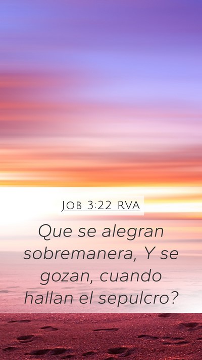 Job 3:22 RVA Bible Verse Image