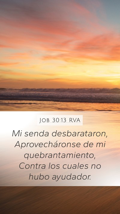 Job 30:13 RVA Mobile Phone Wallpaper - Mi senda desbarataron, Aprovecháronse de mi - Mobile Bible Verse Wallpaper