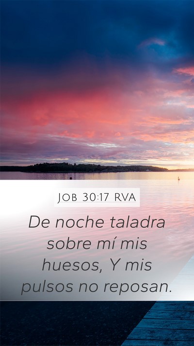 Job 30:17 RVA Bible Verse Image