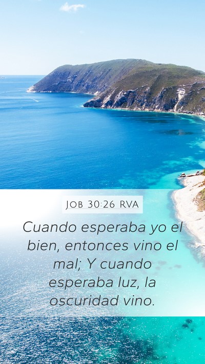 Job 30:26 RVA Bible Verse Image